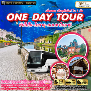 onedaytour sapporo otaru